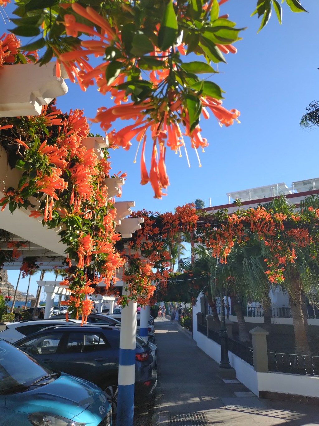 Juleferie på Gran&nbsp;Canaria.